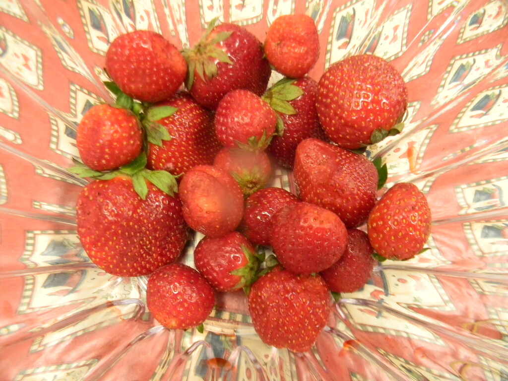 Strawberries in Office by sfeldphotos