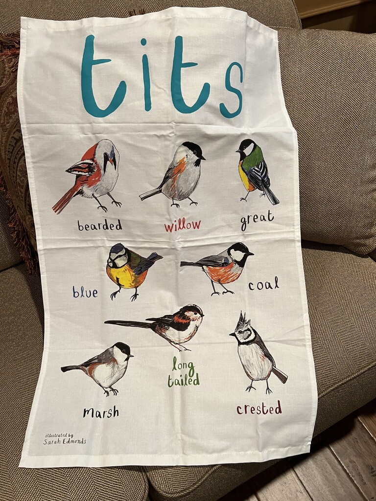 Our new dish towel of birds named “Tit” by louannwarren