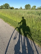 30th May 2024 - Bike shadow
