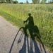 Bike shadow by mltrotter
