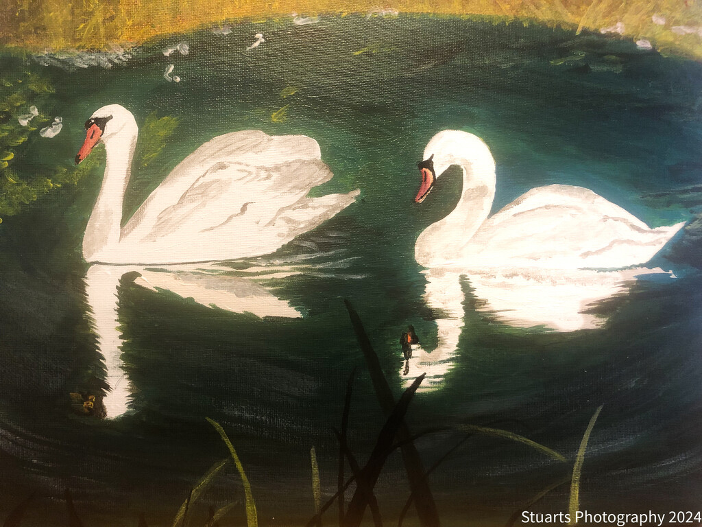 Swans (painting) by stuart46