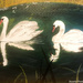 Swans (painting) by stuart46