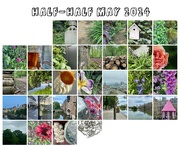 31st May 2024 - Calendar mayhalf-2024