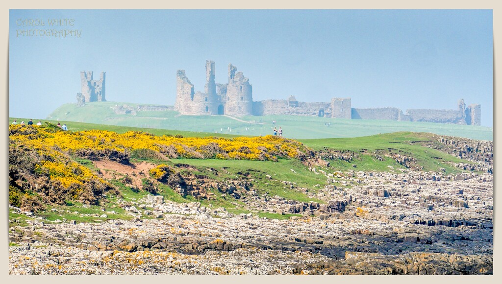 A Distant Dunstanburgh Castle From Craster by carolmw