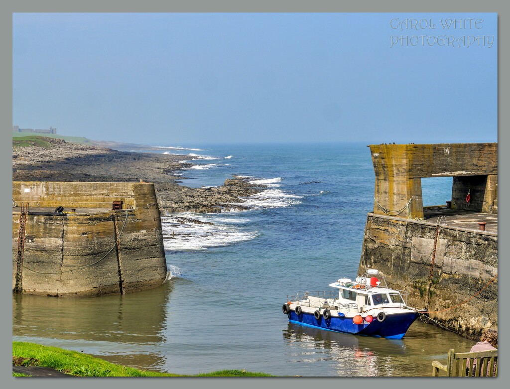 Craster Harbour Looking North Towards Dunstanburgh Castle (just visible on the left) by carolmw