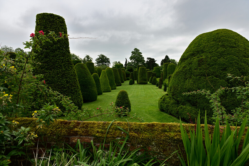 Packwood House Gardens by whdarcyblueyondercouk