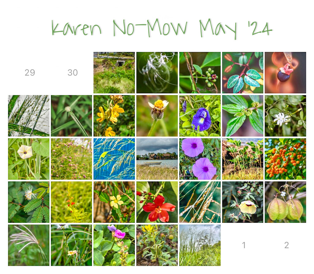 No Mow Calendar by cocokinetic