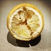 lemon (half)