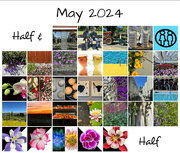31st May 2024 - May 2024 Half & Half Calendar