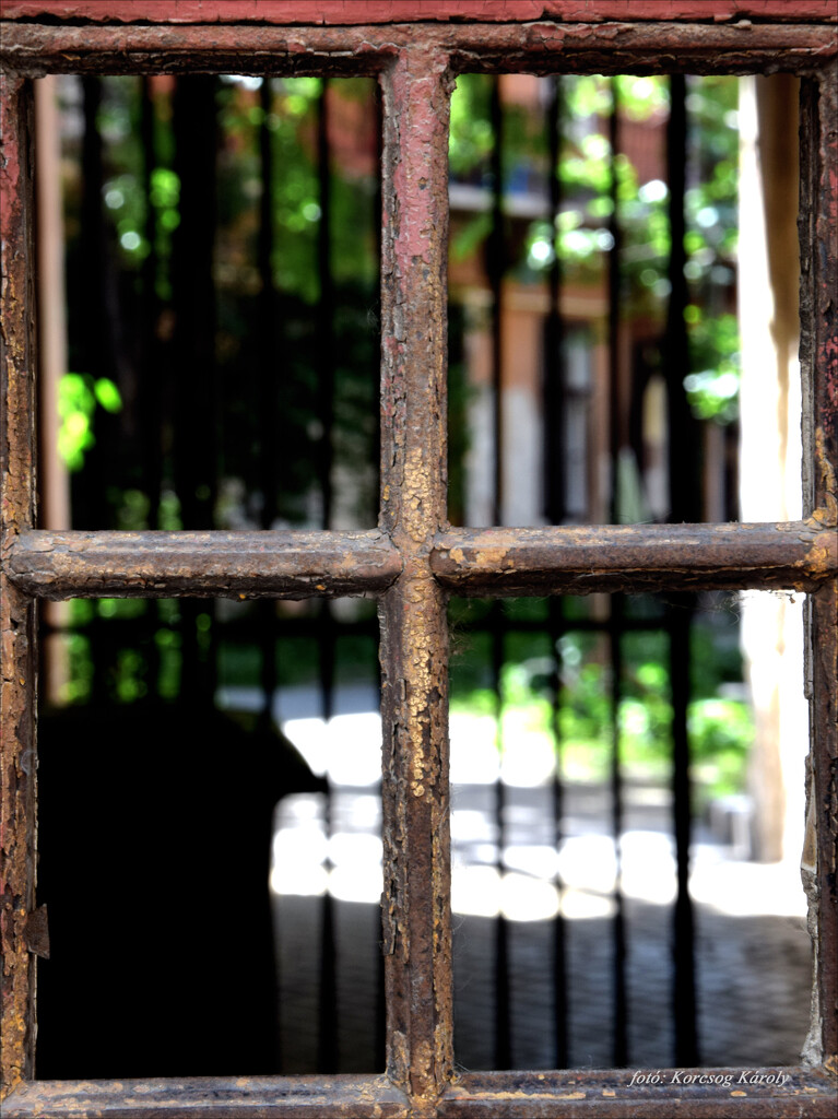 What is behind the gate bars? by kork