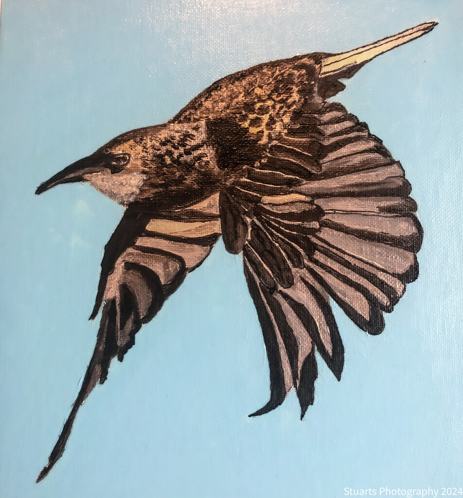 Starling (painting) by stuart46