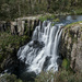 Ebor Falls by jeneurell