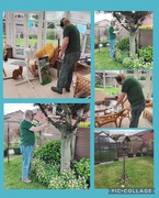 1st Jun 2024 - Making a new bird table.