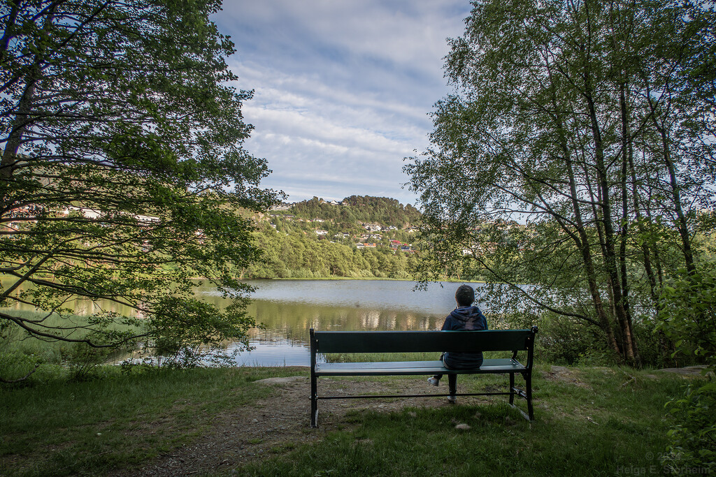 On a bench by the lake by helstor365