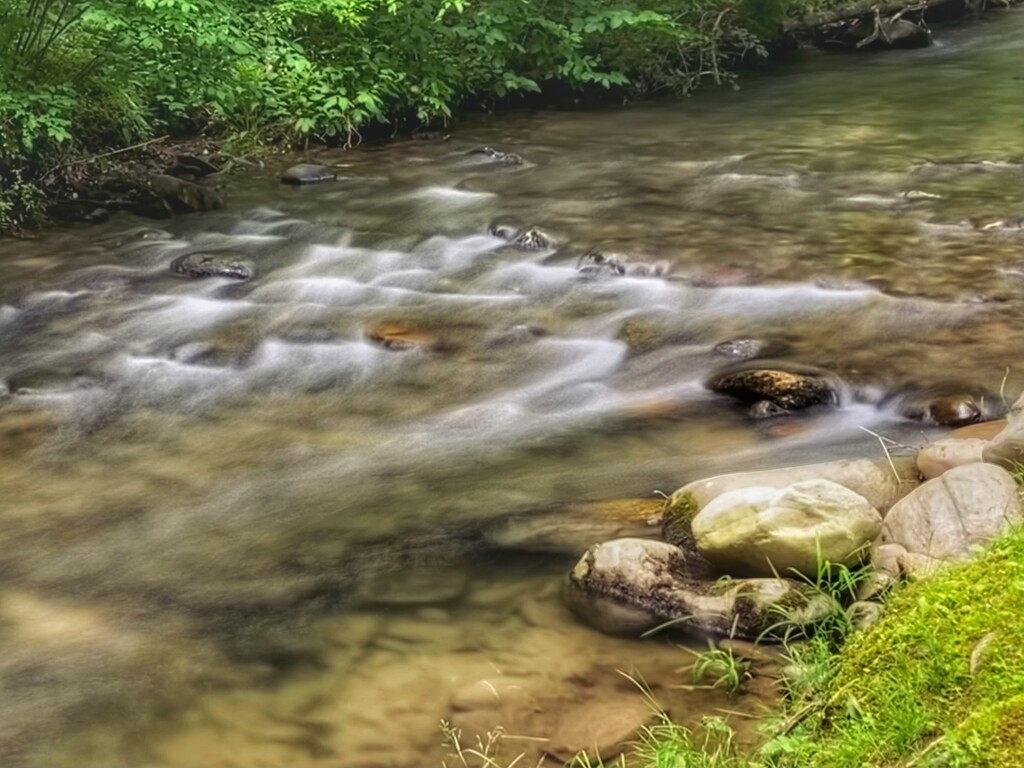 Chilling along the river by rontu