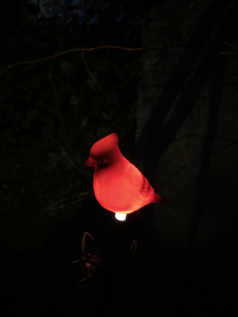 Solar Cardinal Light by spanishliz