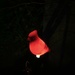 Solar Cardinal Light by spanishliz