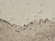 1st Jun 2024 - Footprints