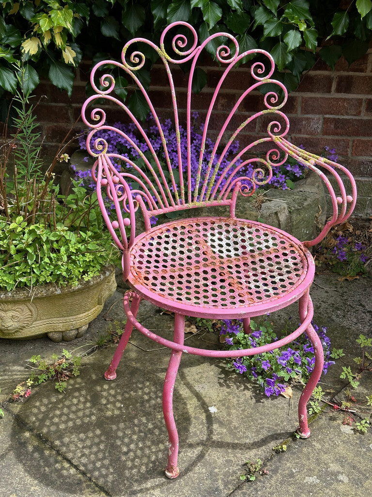 Pink Chair by 365projectmaxine