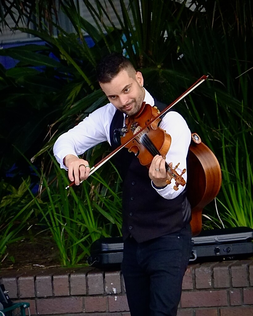 Busker at Circular Quay, Sydney.  by johnfalconer