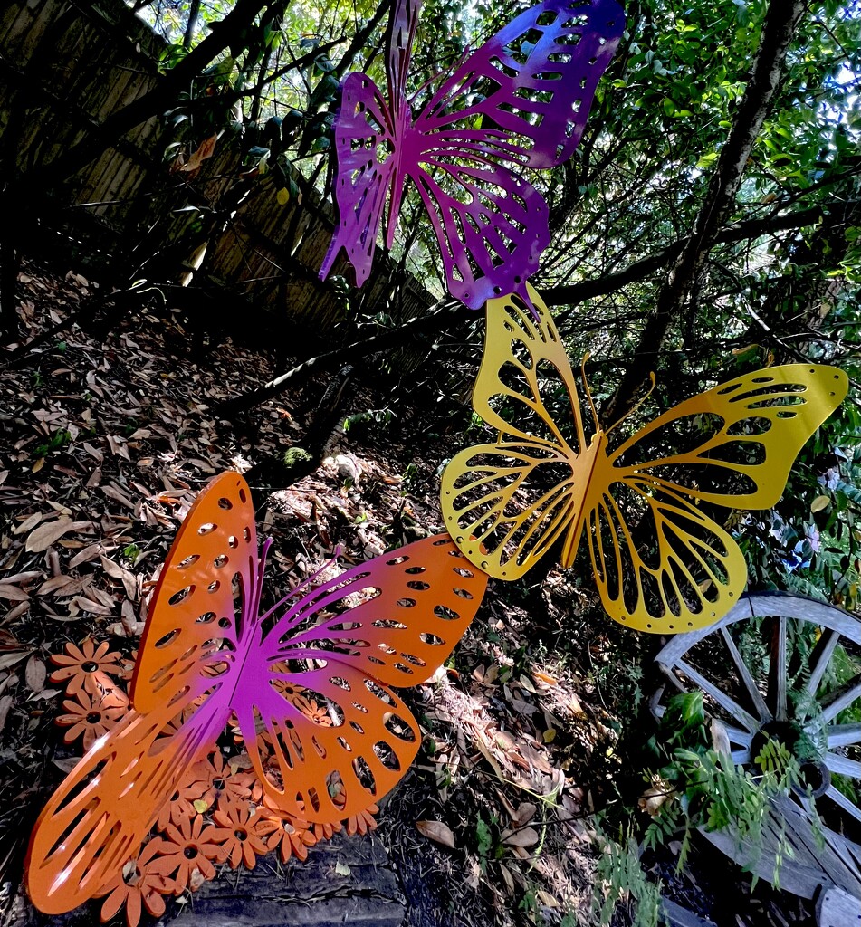 Find a Butterfly (2) by rensala