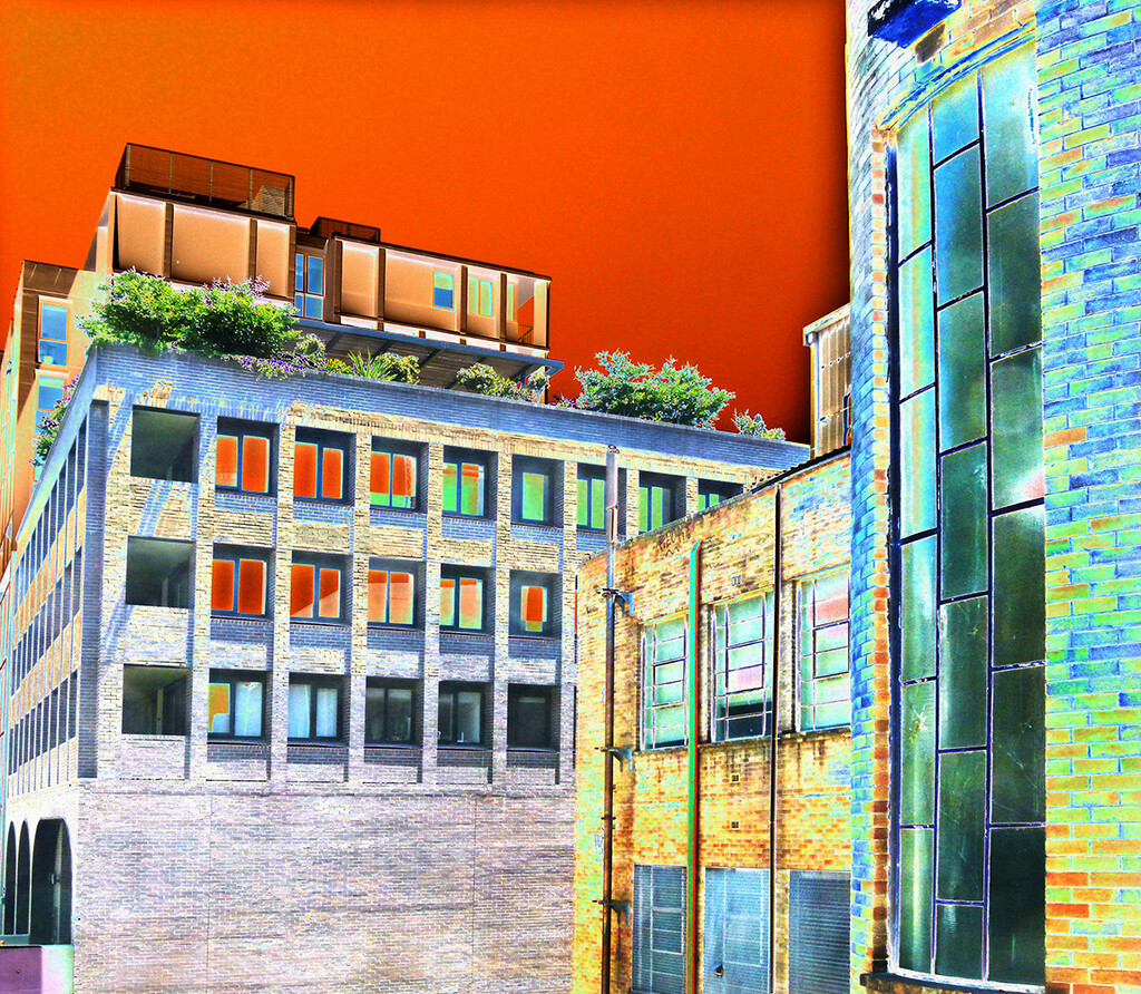 Roof Garden Solarized by onewing