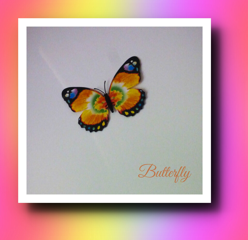As bright as a Butterfly . by beryl
