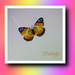 As bright as a Butterfly . by beryl