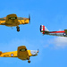 Training aircraft in close formation...