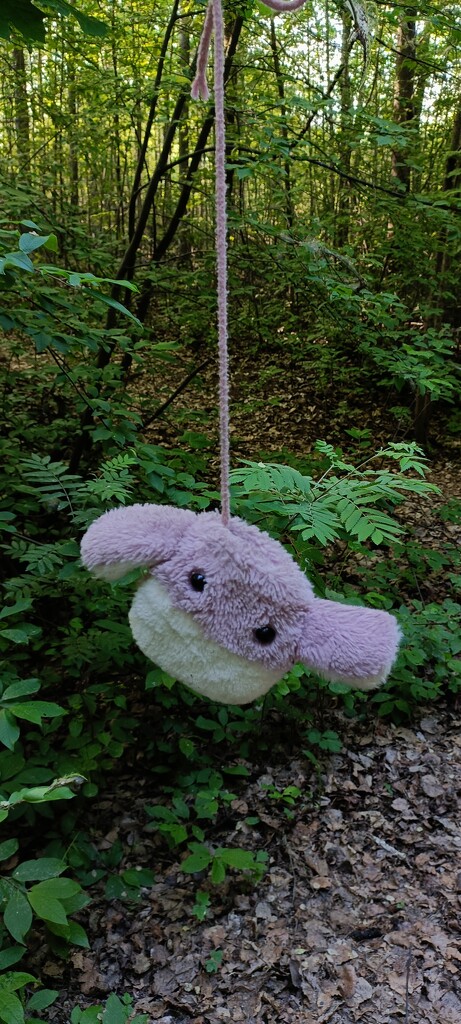 Plushie hanging from a stick🌿 by aalensson