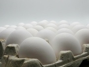 3rd Jun 2024 - Repeating Eggs