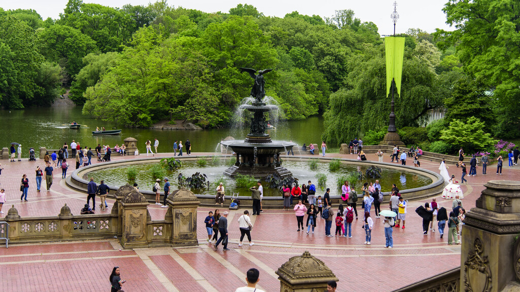Bethesda Fountain - Central Park, NYC by ggshearron