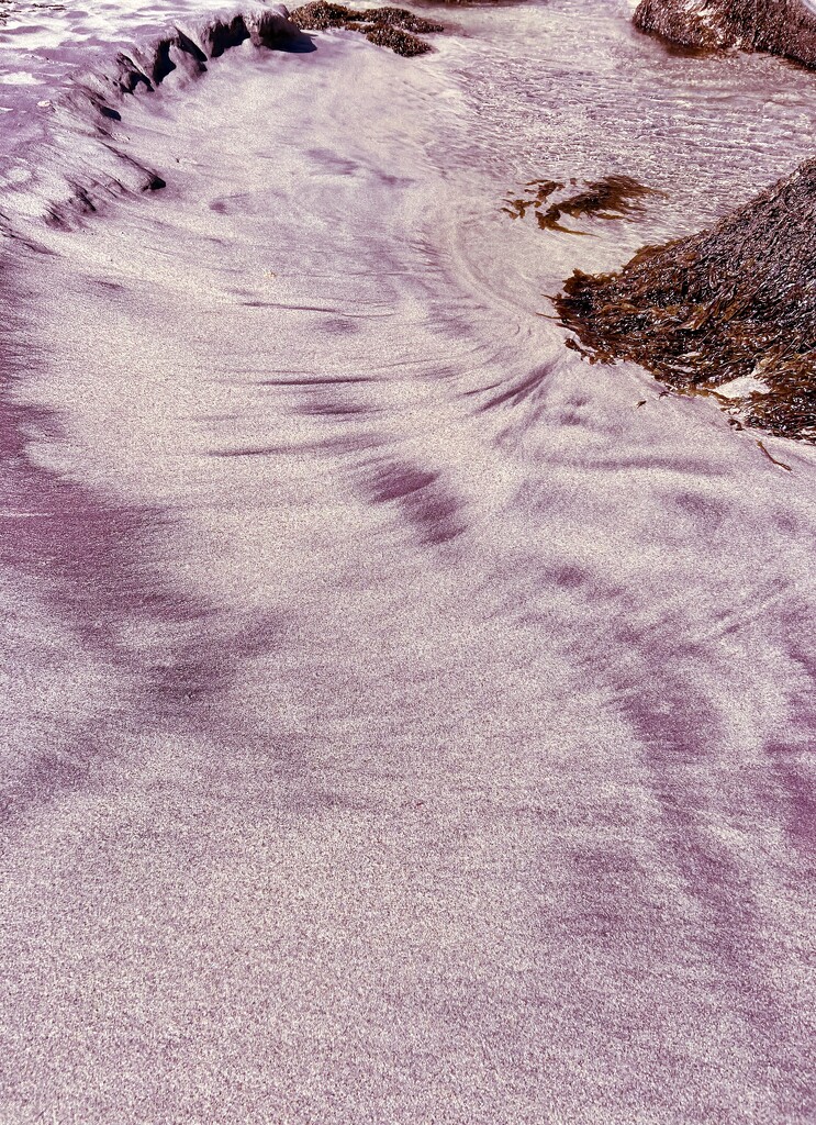 Purple Beach by sjgiesman