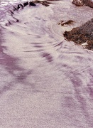 29th May 2024 - Purple Beach