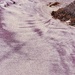 Purple Beach by sjgiesman