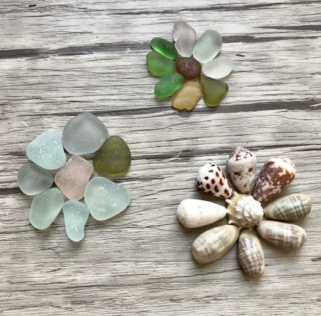 Sea Glass & Shell Flowers by dailypix