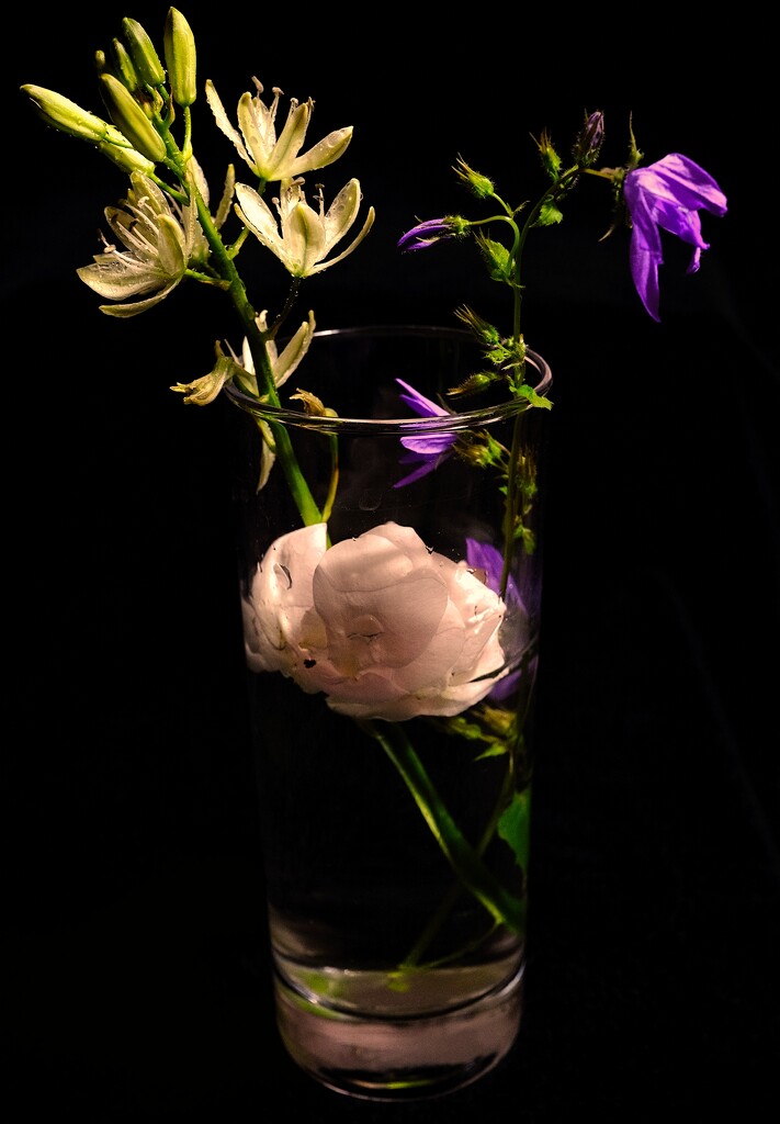 Large Camus  with Campanula and Rose petal by allsop