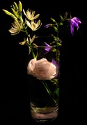 4th Jun 2024 - Large Camus  with Campanula and Rose petal