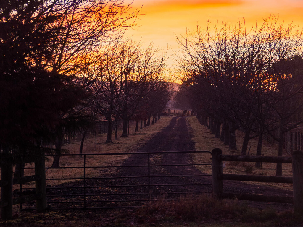 Up the garden path by christinav