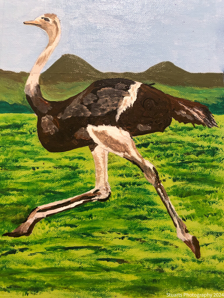 Ostrich (painting) by stuart46