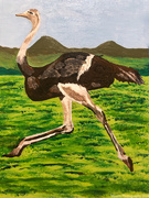 4th Jun 2024 - Ostrich (painting)