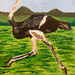 Ostrich (painting) by stuart46