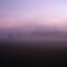 foggy rise