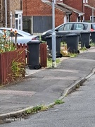 4th Jun 2024 - Bins on parade