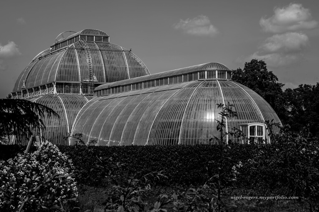Kew Gardens 3 by nigelrogers