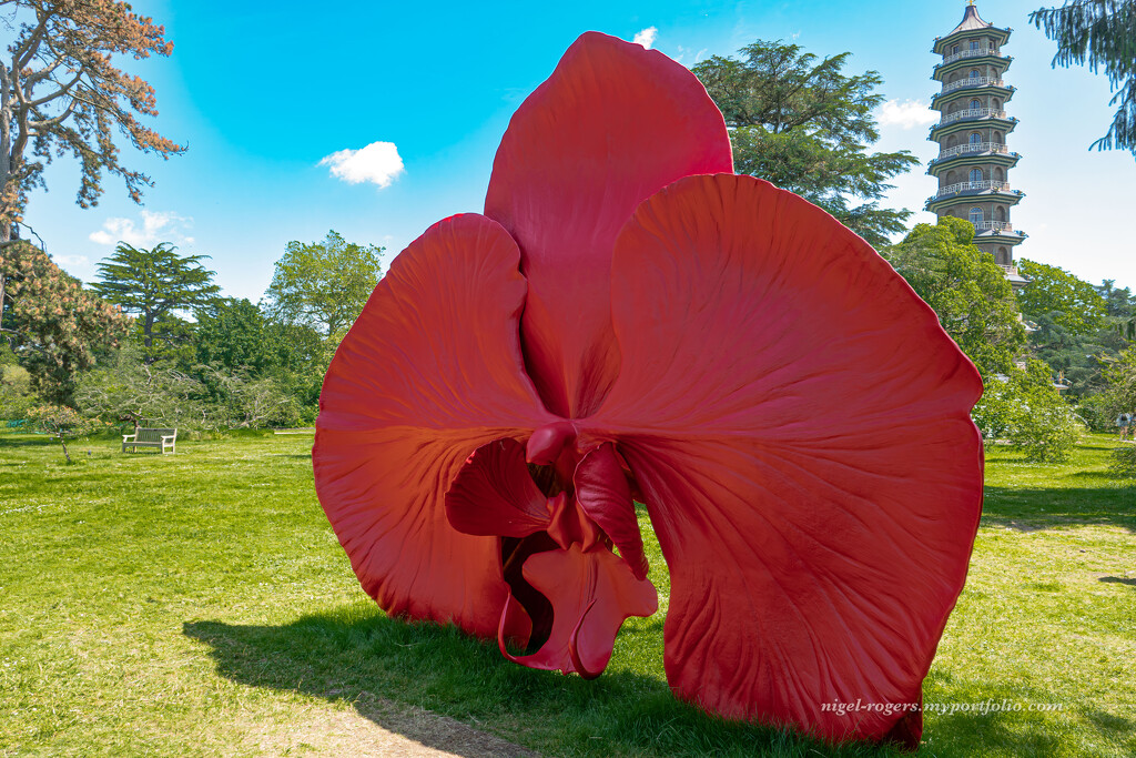 Marc Quinn - Light into Life 7 by nigelrogers