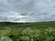 4th Jun 2024 - Peak District