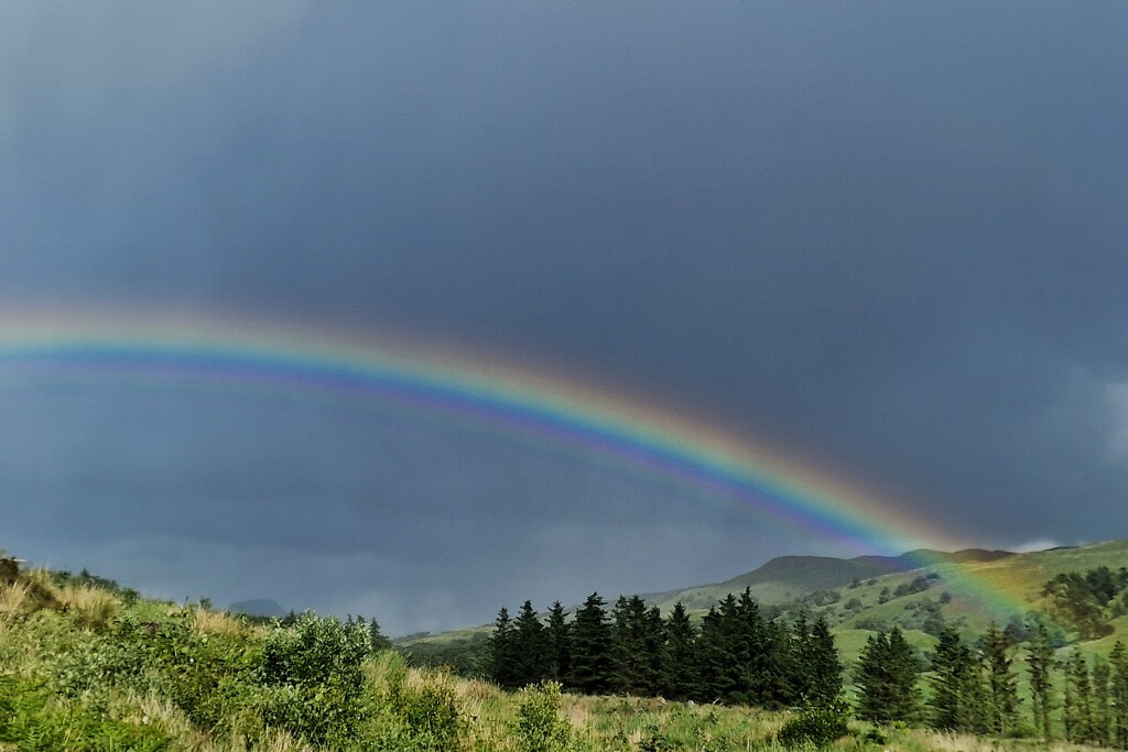 refracted light by christophercox