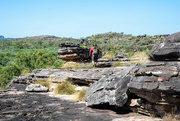 3rd Jun 2024 - Nadap Floodplain view point