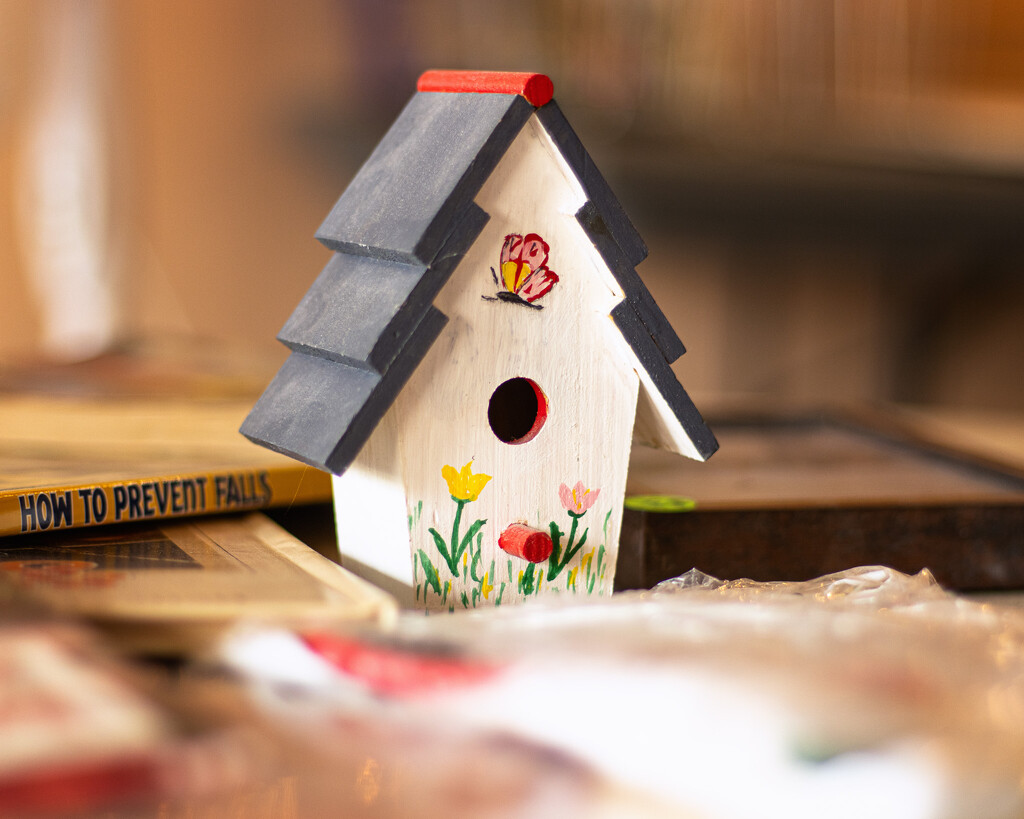 little birdhouse by aecasey